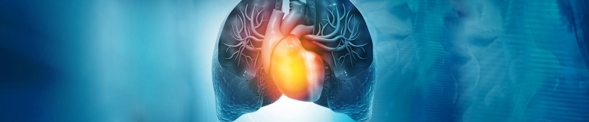 MDGP - Mitteldeutsche Gesellschaft für Pneumologie und Thoraxchirurgie e. V.